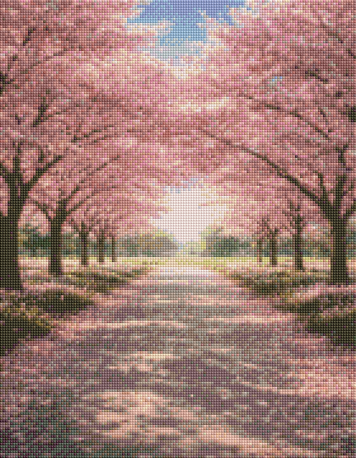 Cherry Blossom Walk