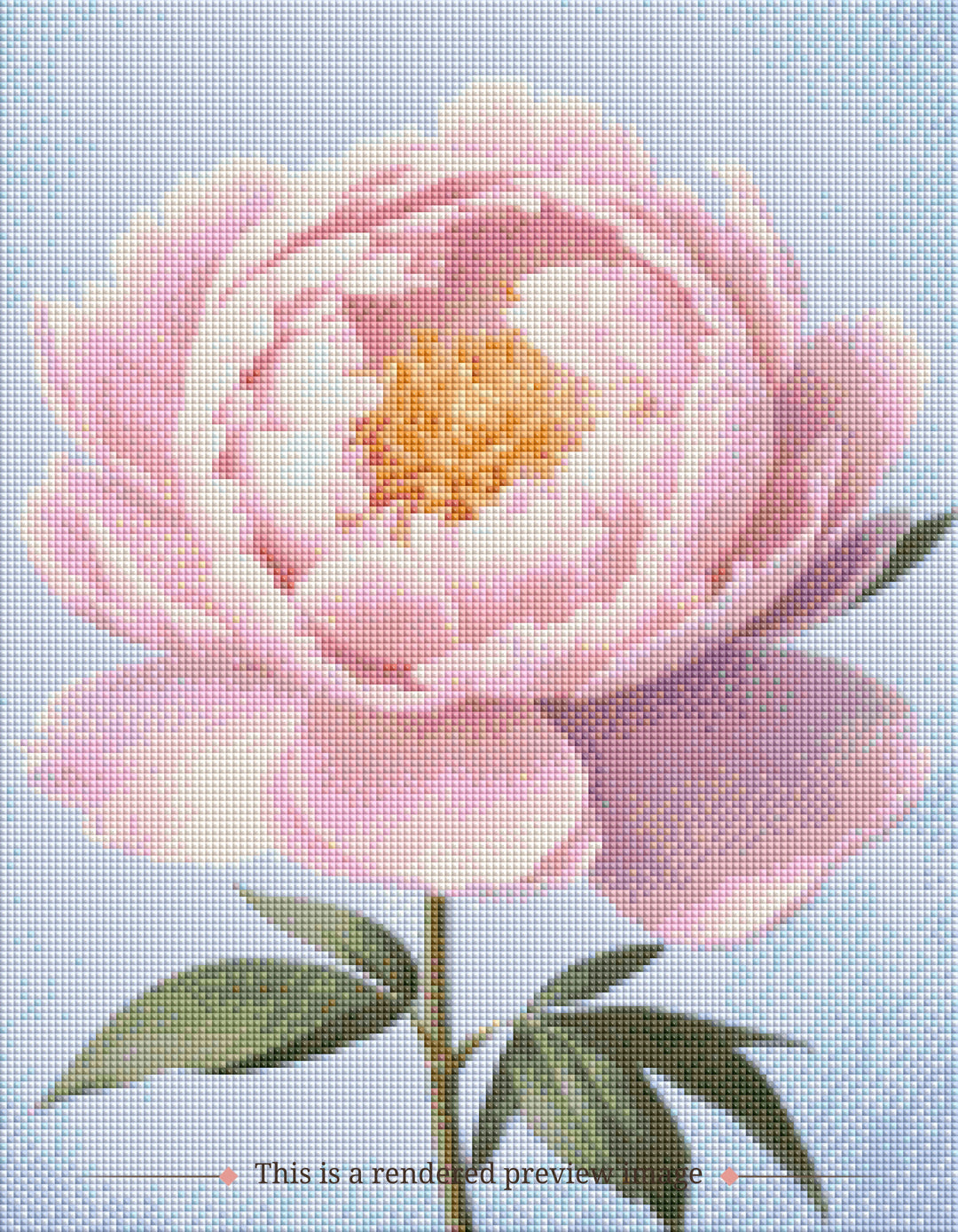 Blush Peony