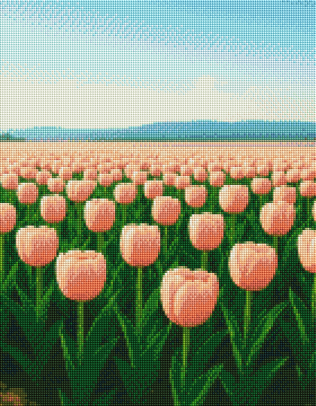 Tulip Field