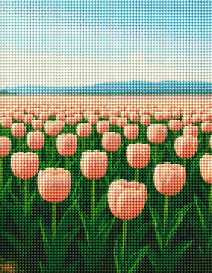 Tulip Field