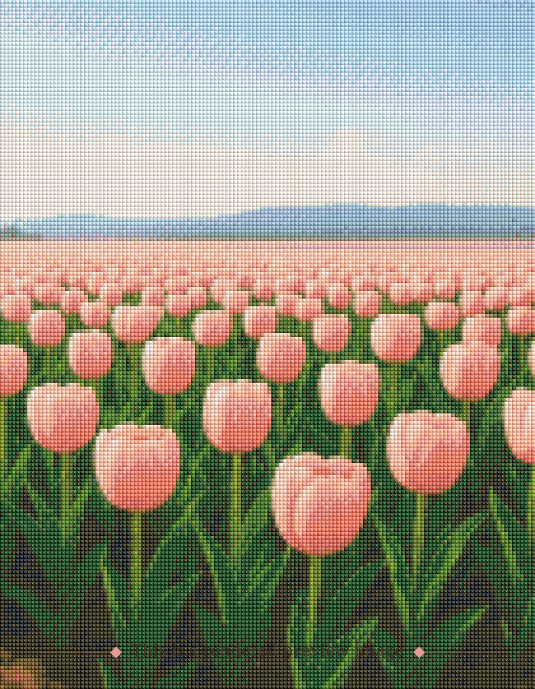 Tulip Field